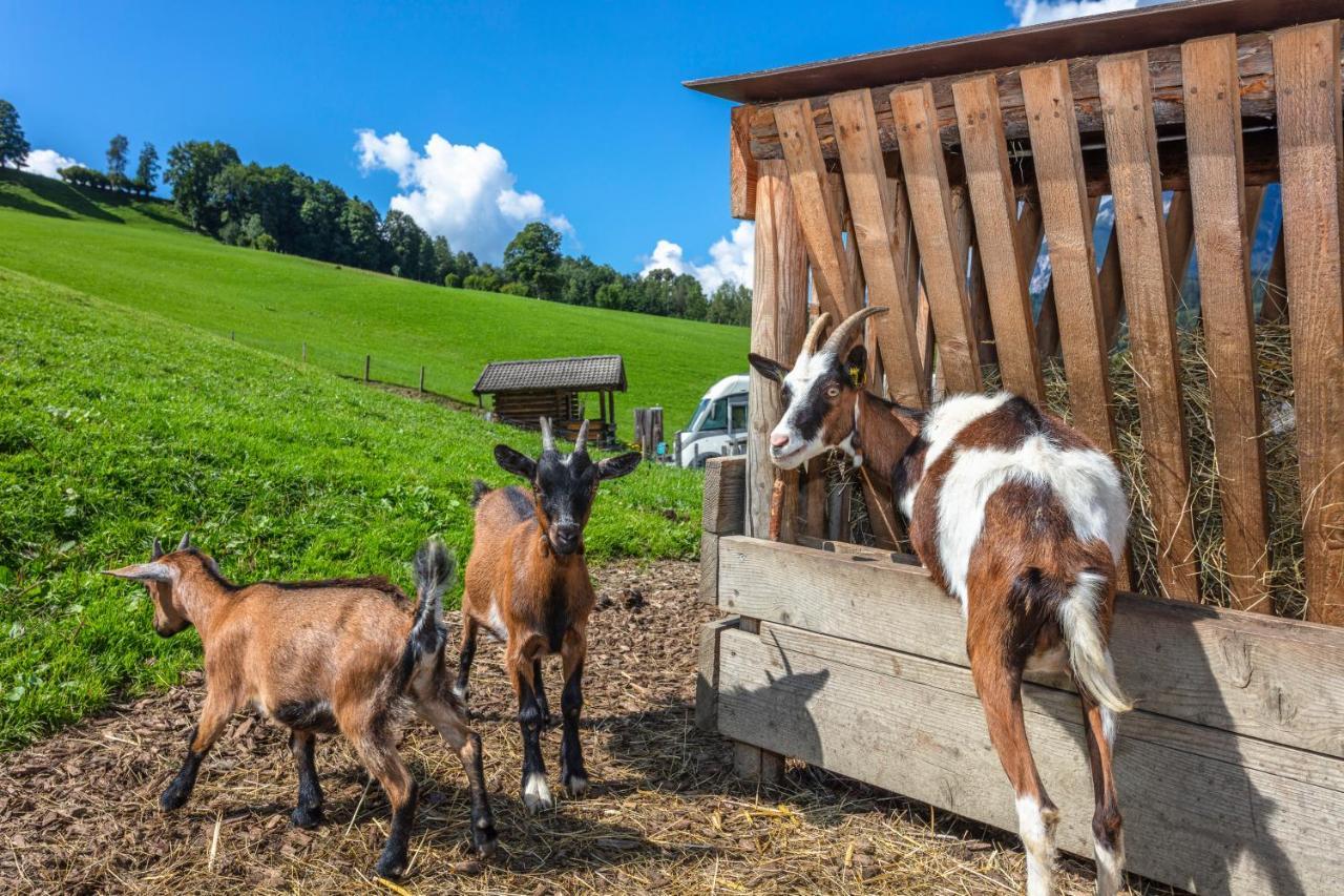 Biobauernhof Stegerbauer Apartment มาริอาอาล์ม อัม ชไตเนอร์เนินเมียร์ ภายนอก รูปภาพ